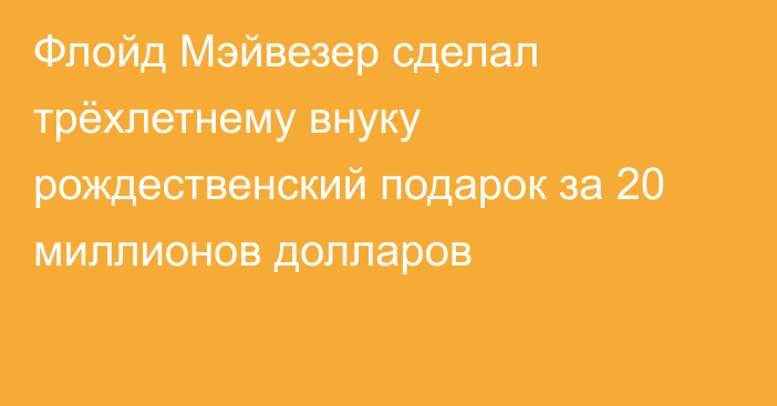 Флойд Мэйвезер сделал трёхлетнему внуку рождественский подарок за 20 миллионов долларов