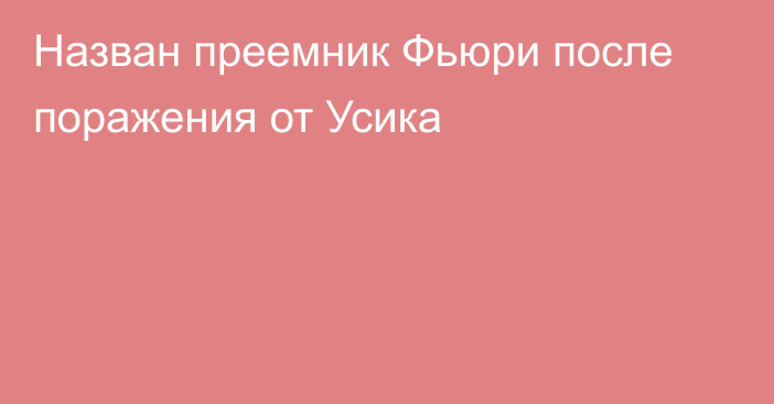 Назван преемник Фьюри после поражения от Усика