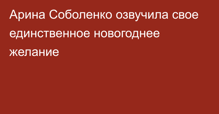 Арина Соболенко озвучила свое единственное новогоднее желание