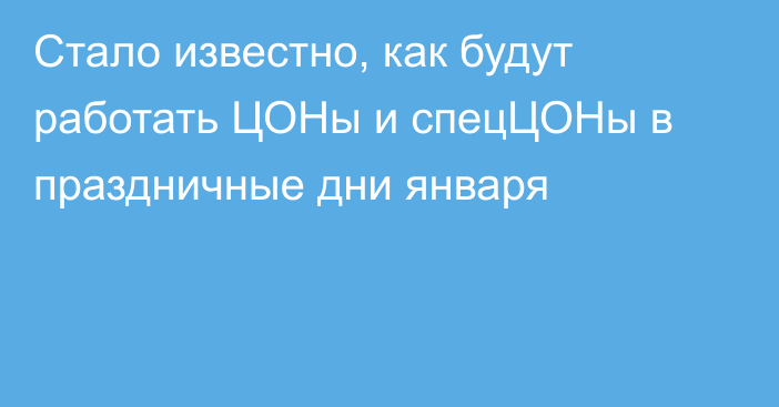 Стало известно, как будут работать ЦОНы и спецЦОНы в праздничные дни января