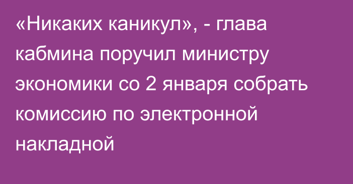 «Никаких каникул», - глава кабмина поручил министру экономики со 2 января собрать комиссию по электронной накладной