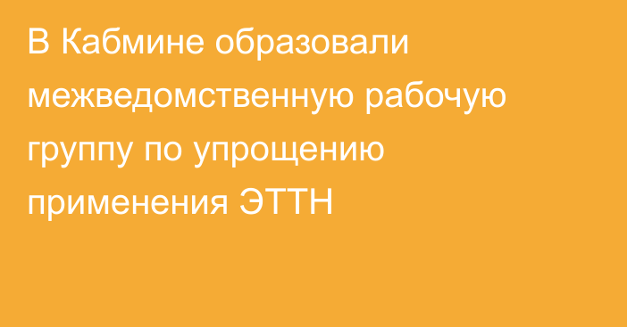 В Кабмине образовали межведомственную рабочую группу по упрощению применения ЭТТН