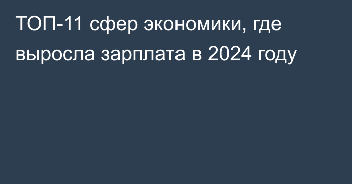 ТОП-11 сфер экономики, где выросла зарплата в 2024 году