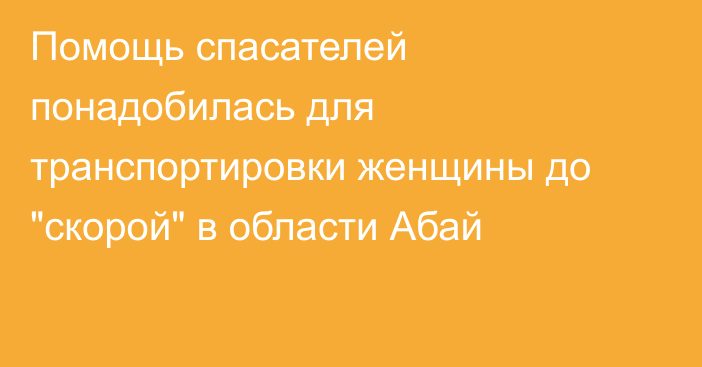 Помощь спасателей понадобилась для транспортировки женщины до 