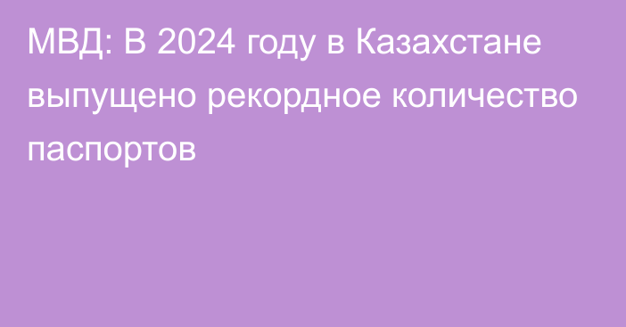 МВД: В 2024 году в Казахстане выпущено рекордное количество паспортов