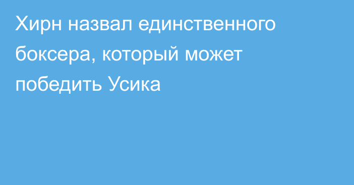 Хирн назвал единственного боксера, который может победить Усика