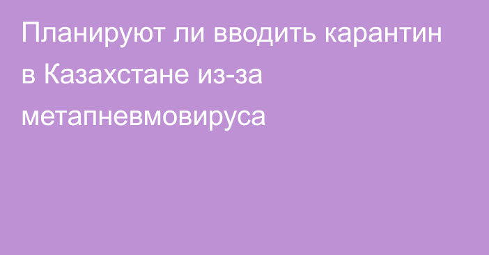 Планируют ли вводить карантин в Казахстане из-за метапневмовируса