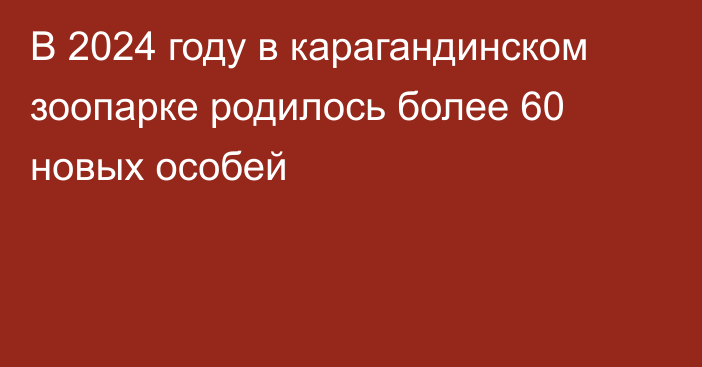 В 2024 году в карагандинском зоопарке родилось более 60 новых особей