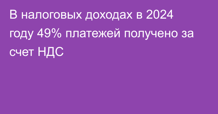 В налоговых доходах в 2024 году 49% платежей получено за счет НДС