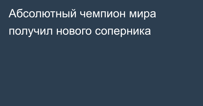 Абсолютный чемпион мира получил нового соперника