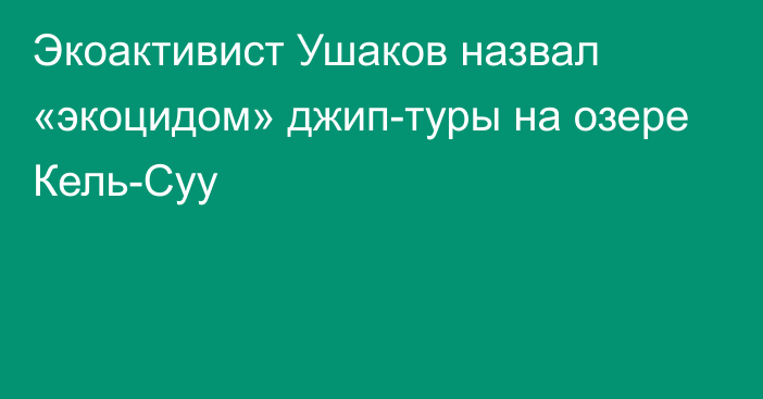 Экоактивист Ушаков назвал «экоцидом» джип-туры на озере Кель-Суу