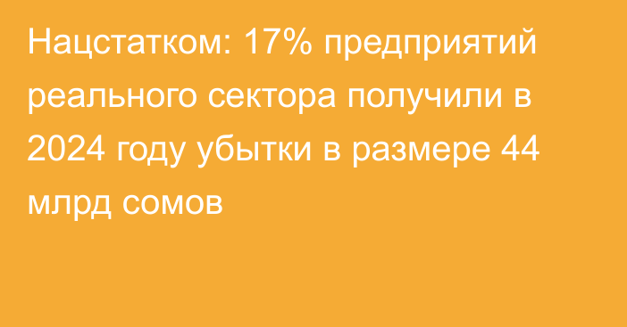 Нацстатком: 17% предприятий реального сектора получили в 2024 году убытки в размере 44 млрд сомов