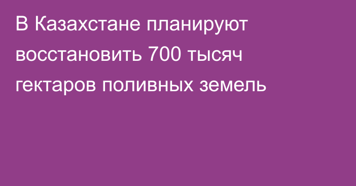 В Казахстане планируют восстановить 700 тысяч гектаров поливных земель