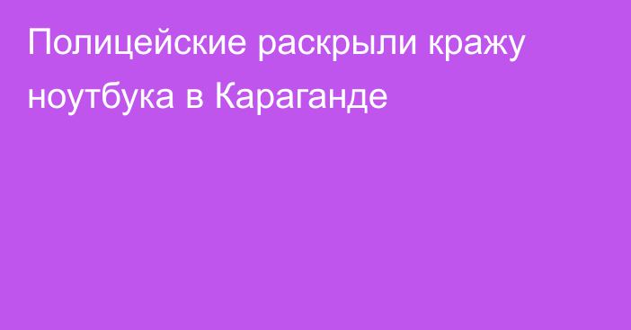 Полицейские раскрыли кражу ноутбука в Караганде