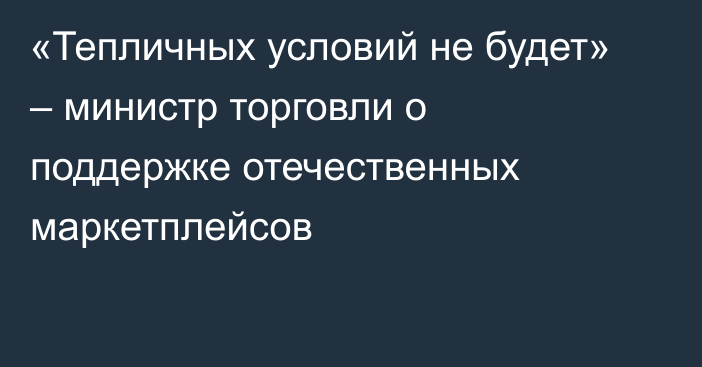 «Тепличных условий не будет» – министр торговли о поддержке отечественных маркетплейсов