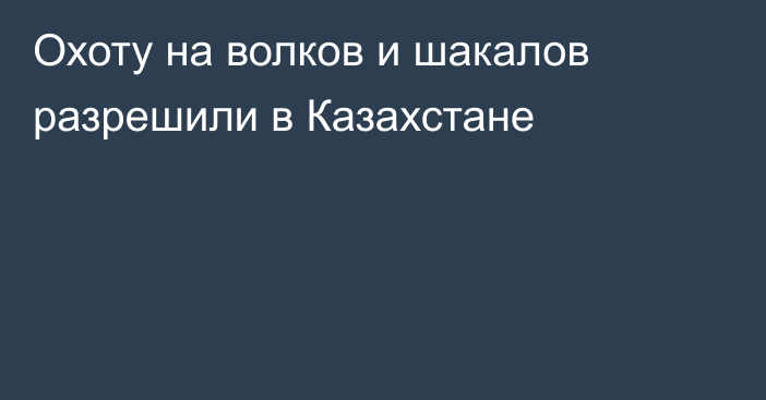 Охоту на волков и шакалов разрешили в Казахстане