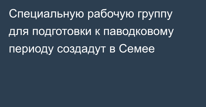 Специальную рабочую группу для подготовки к паводковому периоду создадут в Семее