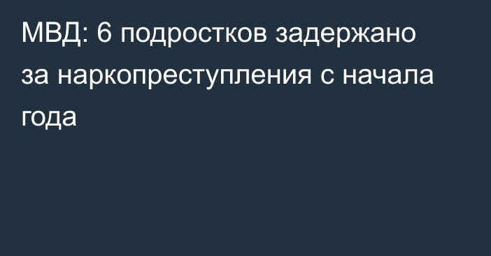 МВД: 6 подростков задержано за наркопреступления с начала года