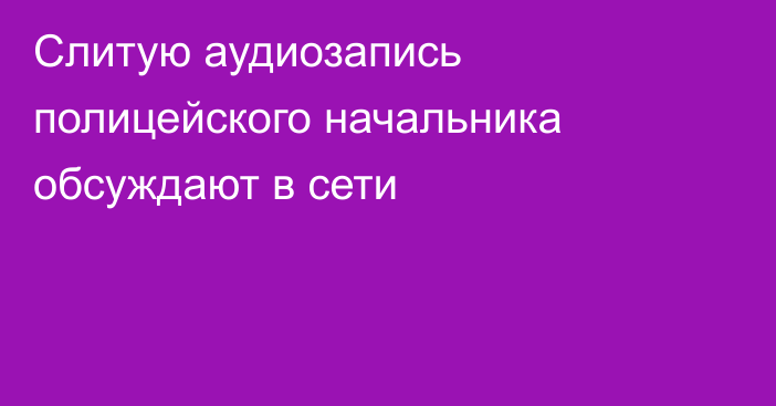 Слитую аудиозапись полицейского начальника обсуждают в сети