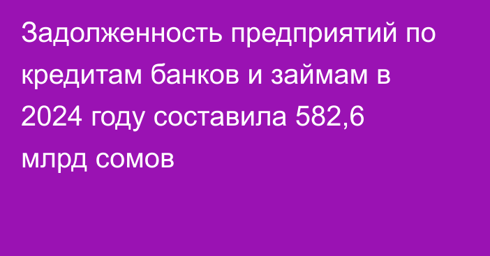 Задолженность предприятий по кредитам банков и займам в 2024 году составила 582,6 млрд сомов