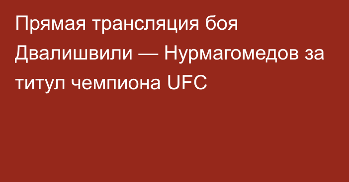 Прямая трансляция боя Двалишвили — Нурмагомедов за титул чемпиона UFC