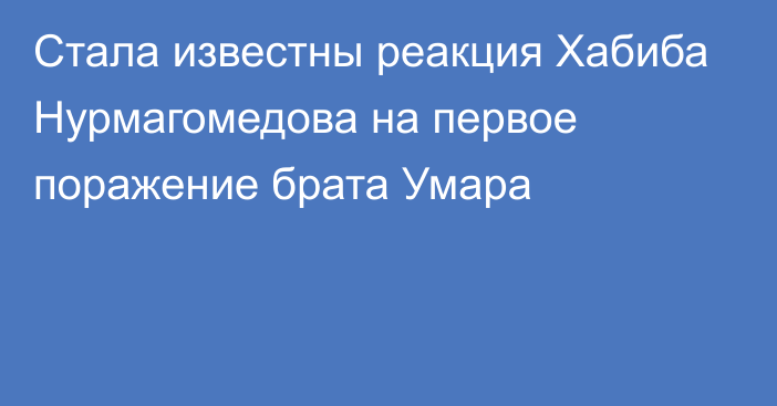 Стала известны реакция Хабиба Нурмагомедова на первое поражение брата Умара