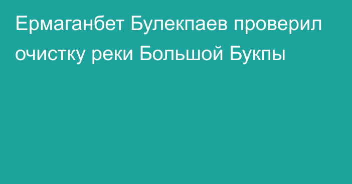 Ермаганбет Булекпаев проверил очистку реки Большой Букпы