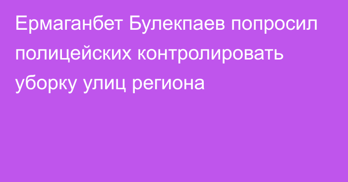 Ермаганбет Булекпаев попросил полицейских контролировать уборку улиц региона