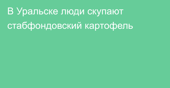 В Уральске люди скупают стабфондовский картофель