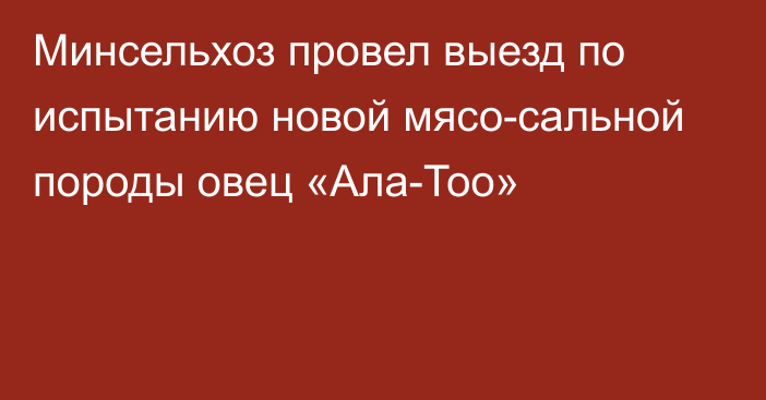 Минсельхоз провел выезд по испытанию новой мясо-сальной породы овец «Ала-Тоо»