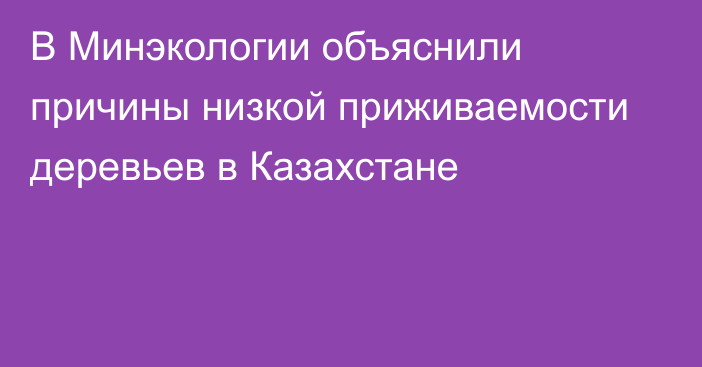 В Минэкологии объяснили причины низкой приживаемости деревьев в Казахстане