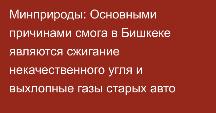 Минприроды: Основными причинами смога в Бишкеке являются сжигание некачественного угля и выхлопные газы старых авто