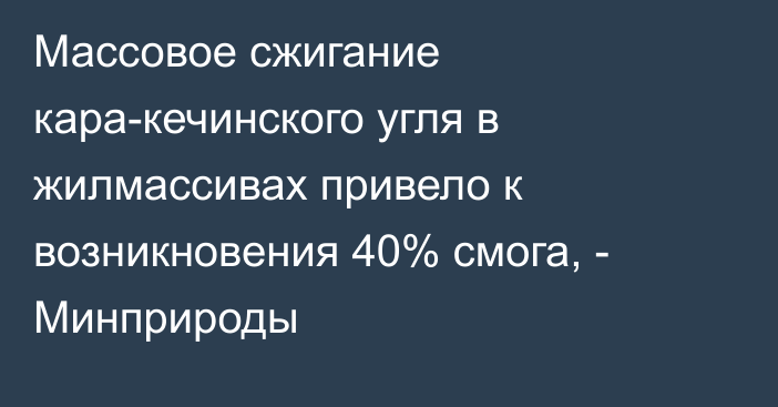 Массовое сжигание кара-кечинского угля в жилмассивах привело к возникновения 40% смога, - Минприроды