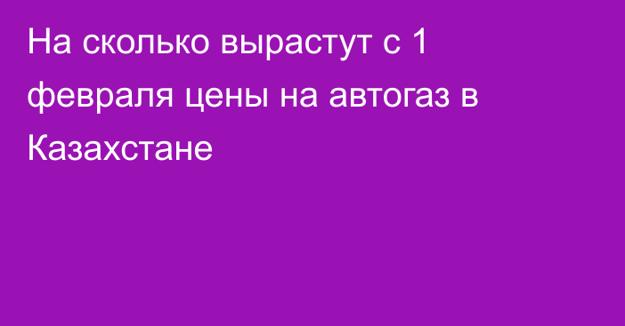 На сколько вырастут с 1 февраля цены на автогаз в Казахстане