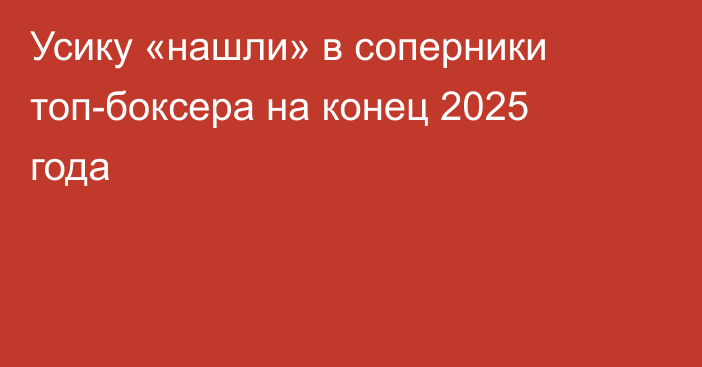 Усику «нашли» в соперники топ-боксера на конец 2025 года