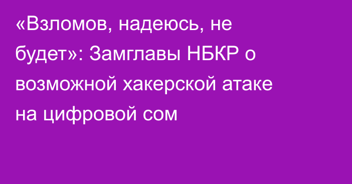 «Взломов, надеюсь, не будет»: Замглавы НБКР о возможной хакерской атаке на цифровой сом