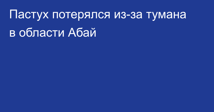 Пастух потерялся из-за тумана в области Абай