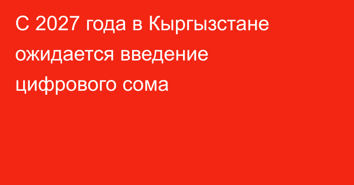 С 2027 года в Кыргызстане ожидается введение цифрового сома