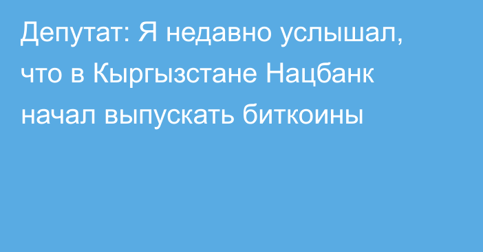 Депутат: Я недавно услышал, что в Кыргызстане Нацбанк начал выпускать биткоины