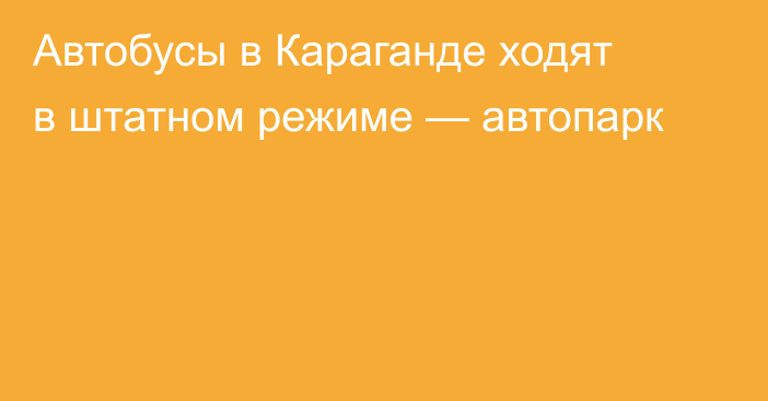 Автобусы в Караганде ходят в штатном режиме — автопарк