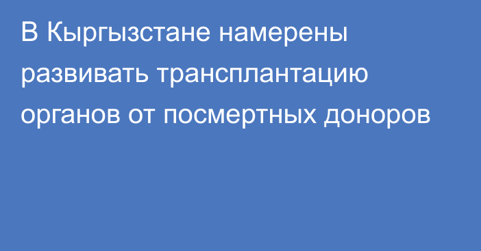 В Кыргызстане намерены развивать трансплантацию органов от посмертных доноров