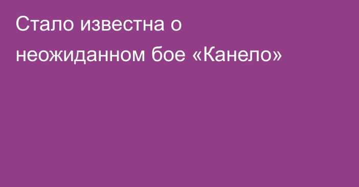 Стало известна о неожиданном бое «Канело»