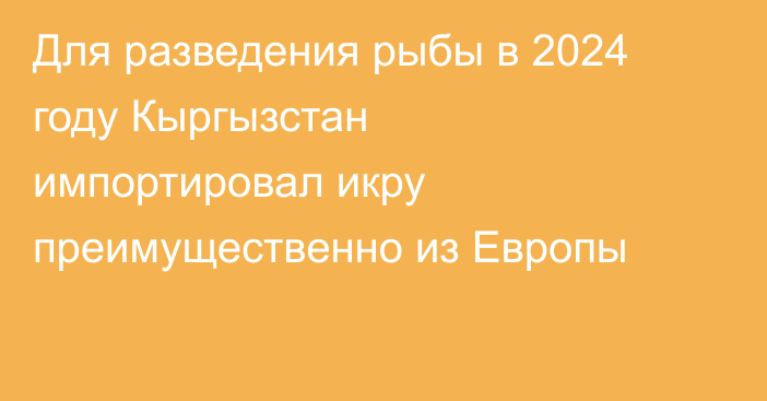 Для разведения рыбы в 2024 году Кыргызстан импортировал икру преимущественно из Европы