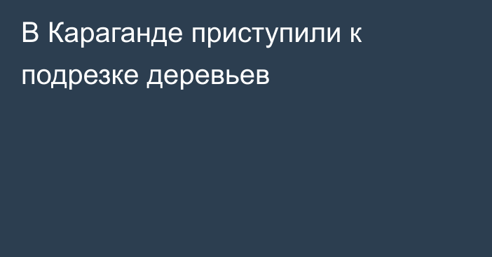 В Караганде приступили к подрезке деревьев