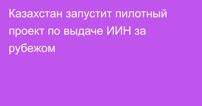 Казахстан запустит пилотный проект по выдаче ИИН за рубежом