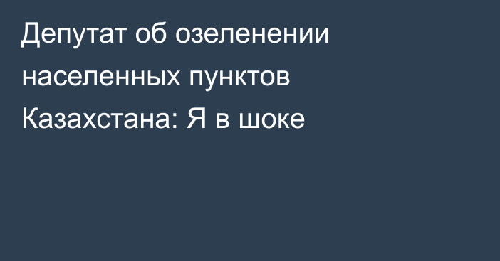 Депутат об озеленении населенных пунктов Казахстана: Я в шоке