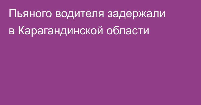 Пьяного водителя задержали в Карагандинской области