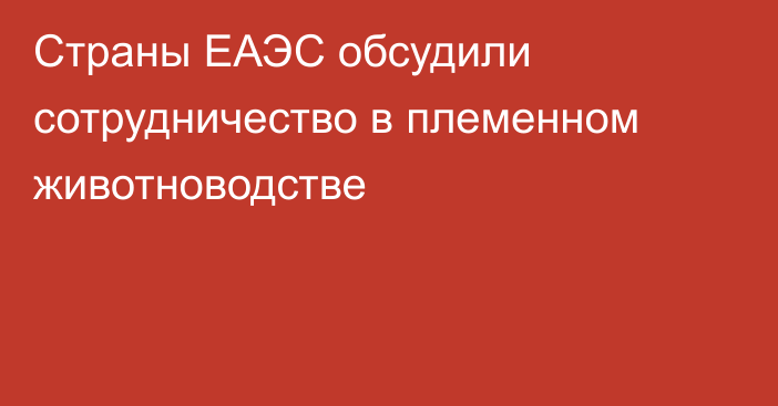 Страны ЕАЭС обсудили сотрудничество в племенном животноводстве