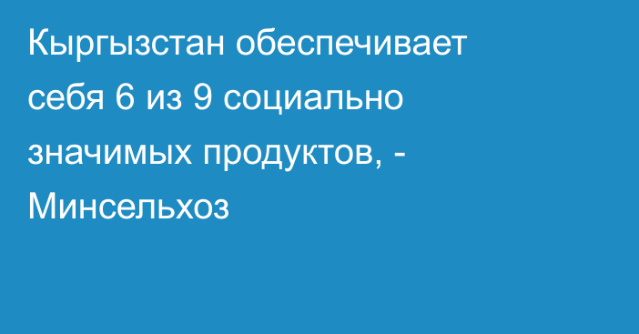 Кыргызстан обеспечивает себя 6 из 9 социально значимых продуктов, - Минсельхоз