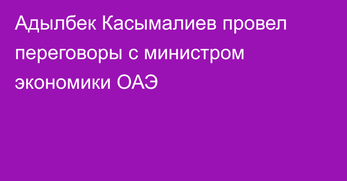 Адылбек Касымалиев провел переговоры с министром экономики ОАЭ